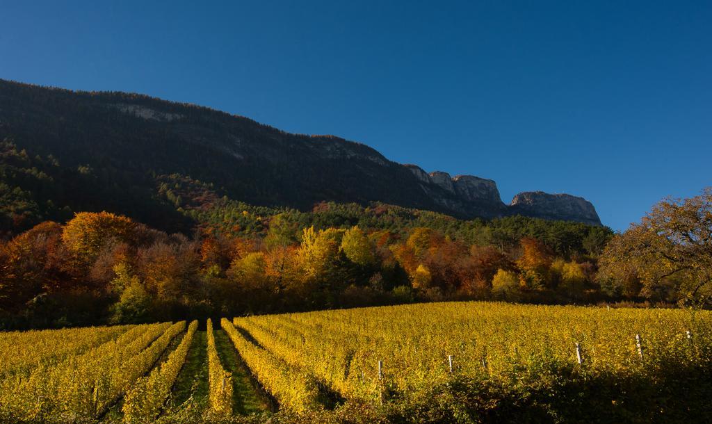 Weingut Wolkanhof Appiano Sulla Strada Del Vino Ngoại thất bức ảnh