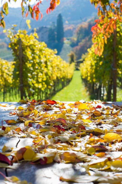 Weingut Wolkanhof Appiano Sulla Strada Del Vino Ngoại thất bức ảnh
