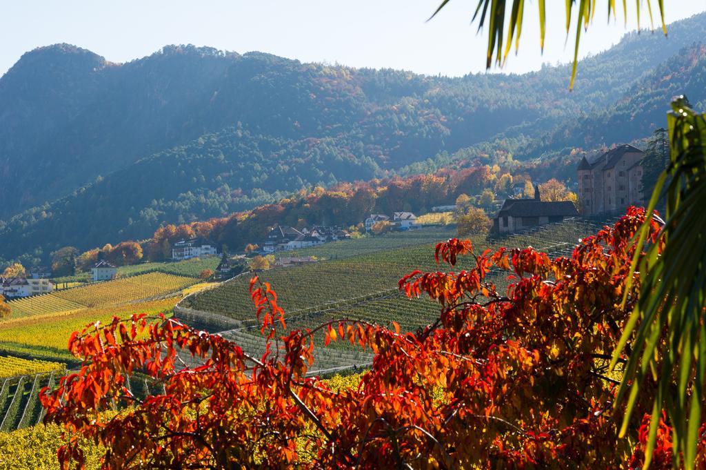 Weingut Wolkanhof Appiano Sulla Strada Del Vino Ngoại thất bức ảnh