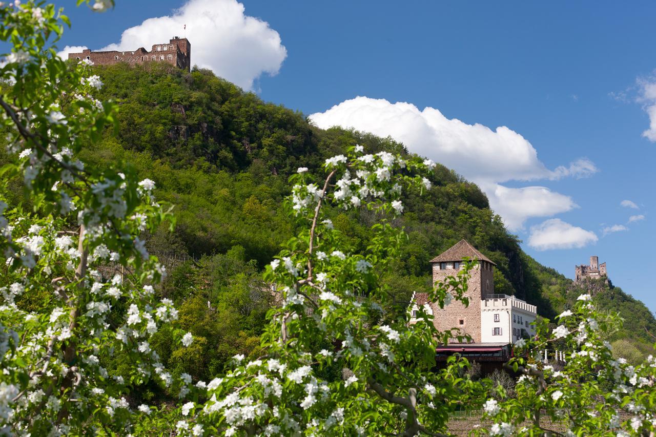 Weingut Wolkanhof Appiano Sulla Strada Del Vino Ngoại thất bức ảnh